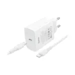 HOCO C162A | Kit de Chargeur PD40W à Port Unique C vers C - UE